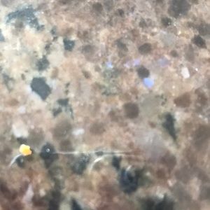 Meet your Posher, Erika